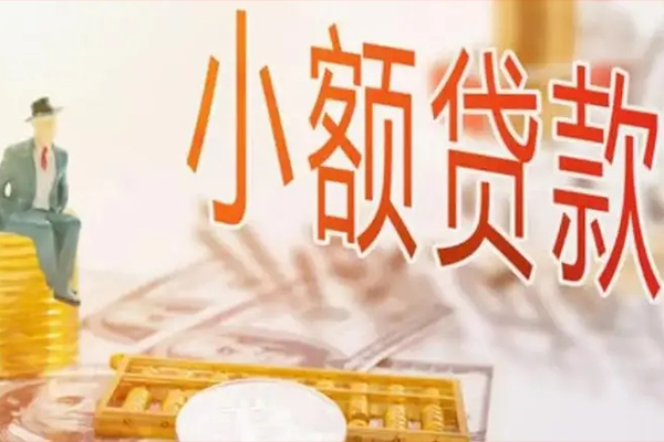 成都29私人身份证借私借-成都29个人上门小额贷款-成都29短借公证